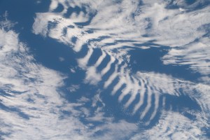 iss070e106079 (March 4, 2024) -- Clouds moving in over the Indian Ocean create a fossil-like appearance as the International Space Station orbited 268 miles above.