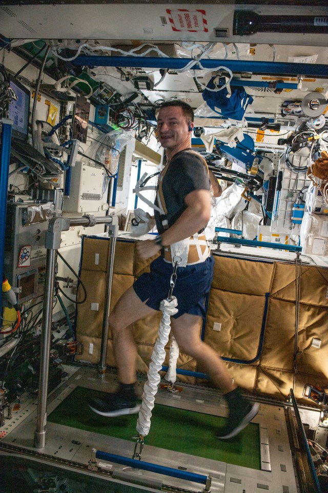 iss060e067893 (Sept. 16, 2019) --- Expedition 60 Flight Engineer Andrew Morgan of NASA jogs while attached to the COLBERT (Combined Operational Load Bearing External Resistance Treadmill) located inside the International Space Station's Tranquility module.