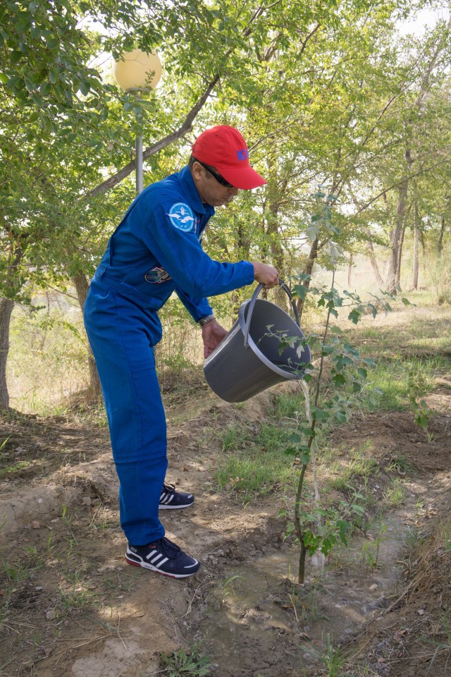 At the Cosmonaut Hotel crew quarters in Baikonur, Kazakhstan, Expedition 53-54 crewmember Joe Acaba of NASA waters a tree bearing his name he previously planted in a traditional pre-launch ceremony Sept. 8. Acaba, Alexander Misurkin of Roscosmos and Mark Vande Hei of NASA will launch Sept. 13 from the Baikonur Cosmodrome in Kazakhstan on the Soyuz MS-06 spacecraft for a five and a half month mission on the International Space Station.