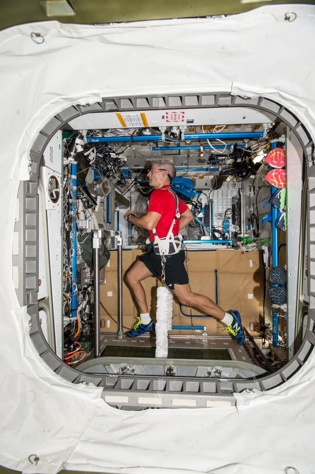 NASA astronaut Mark Vande Hei jogs on a treadmill inside the space station.