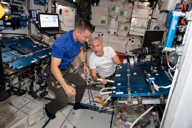 iss060e014374 (July 24, 2019) --- Astronauts Andrew Morgan (left) and Luca Parmitano participate in familiarization activities inside the International Space Station's Harmony module. The duo had arrived at the orbiting laboratory four days earlier with cosmonaut Alexander Skvortsov aboard the Soyuz MS-13 crew ship and were adjusting to living and working in microgravity.