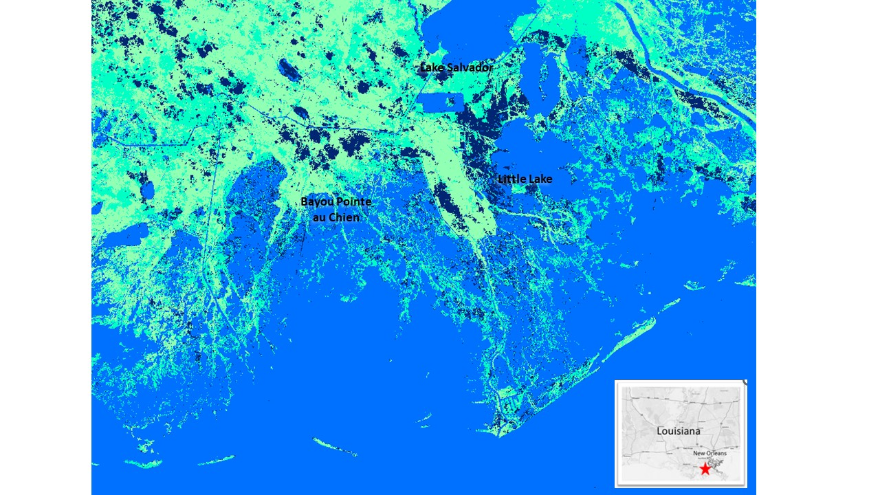 Map of wetland loss (dark blue pixels) across Barataria and Terrebonne Basins of coastal Louisiana detected by comparison of Landsat 8 NDWI images before and after the destructive storm surge of Hurricane Ida in August 2021. A total of 686 km² of wetland area was transformed to open water cover, more than twice the wetland area lost from Hurricane Katrina in 2005.