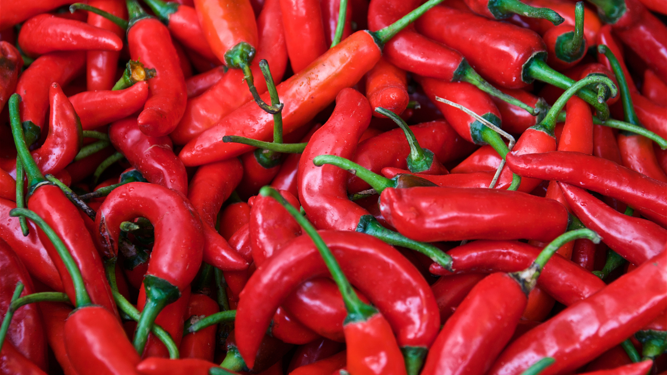 a large pile of red hot peppers