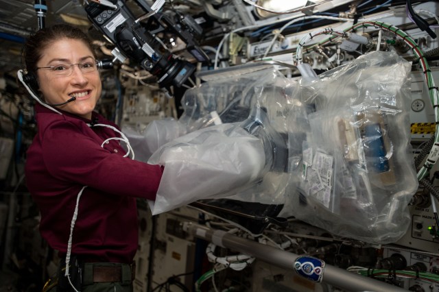 iss060e021175 (Aug. 2, 2019) --- Expedition 60 Flight Engineer Christina Koch of NASA activates the new BioFabrication Facility to test its ability to print cells. Researchers are exploring whether the weightless environment of space may support the fabrication of human organs in space. An incubator houses the tissue samples to promote cohesive cellular growth over several weeks. Earth’s gravity inhibits 3-D bioprinters and incubators from recreating and growing complex organic structures.