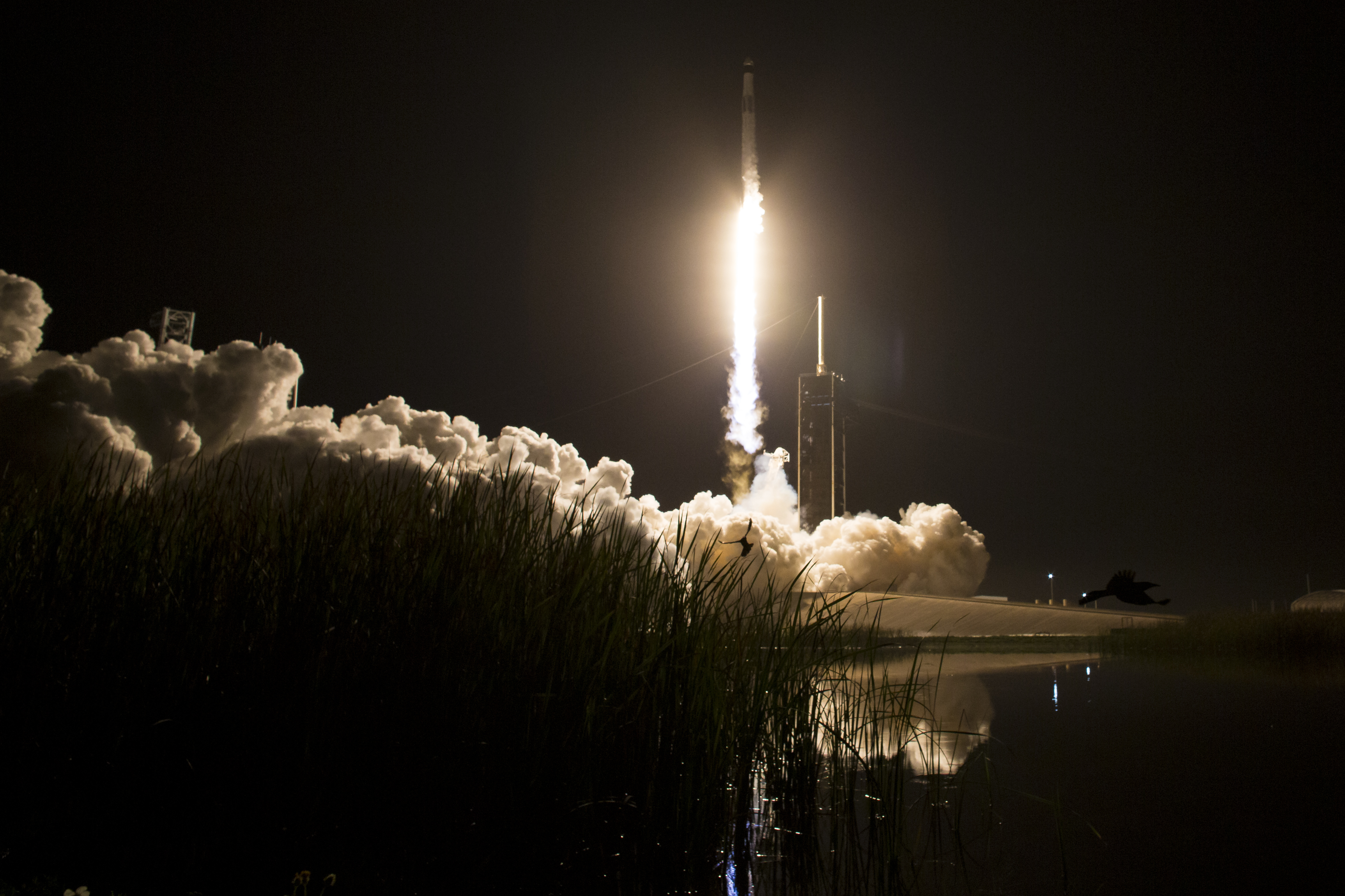 El SpaceX Crew-8 de la NASA se lanza a la Estación Espacial Internacional