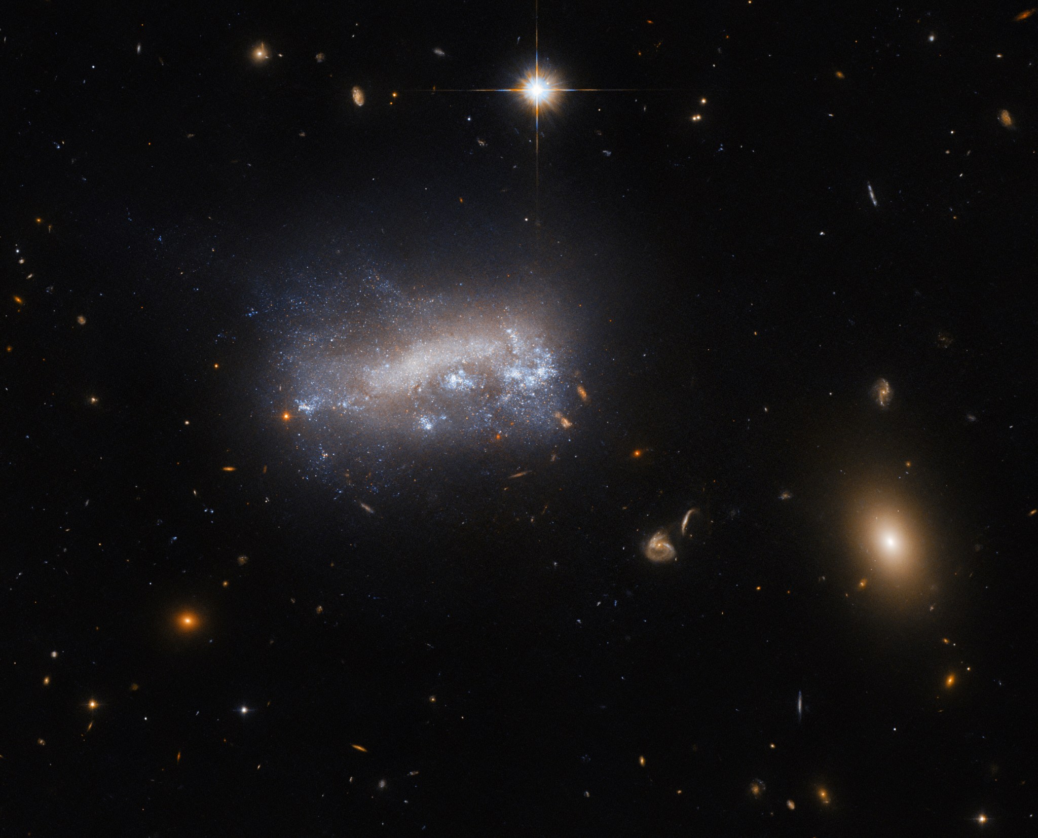 A distorted dwarf galaxy, obscured by dust and by bright outbursts caused by star formation, floats roughly in the center. Tendrils of gas stretch up from the plane of the galaxy. A few distant galaxies are visible in the background around it, many as little spirals, and also including a prominent elliptical galaxy. A bright star hangs above the galaxy in the foreground, marked by cross-shaped diffraction spikes. The galaxy appears in shades of white and blue, while the distant galaxies are spots of orange.