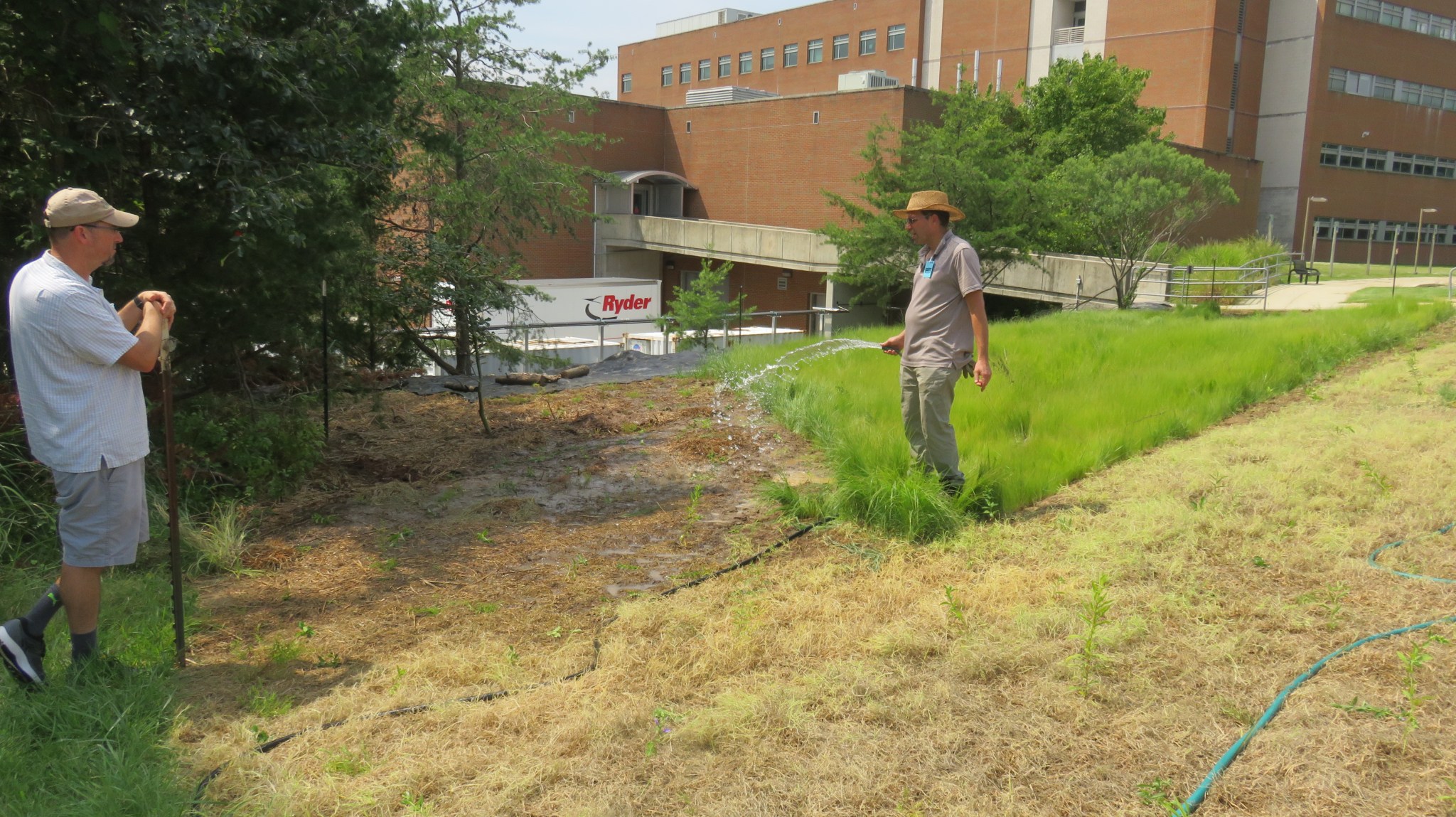 One man watering newly sown seed in the meadow, while another man looks on.