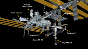 March 21, 2024: International Space Station Configuration. Seven spaceships are parked at the space station including the SpaceX Dragon cargo craft and crew spacecraft Endeavour, Northrop Grumman's Cygnus space freighter, the Soyuz MS-24 and MS-25 crew ships, and the Progress 86 and 87 resupply ships.