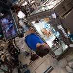NASA astronaut Megan McArthur services donor cells inside the Kibo laboratory module’s Life Science Glovebox for the Celestial Immunity study.