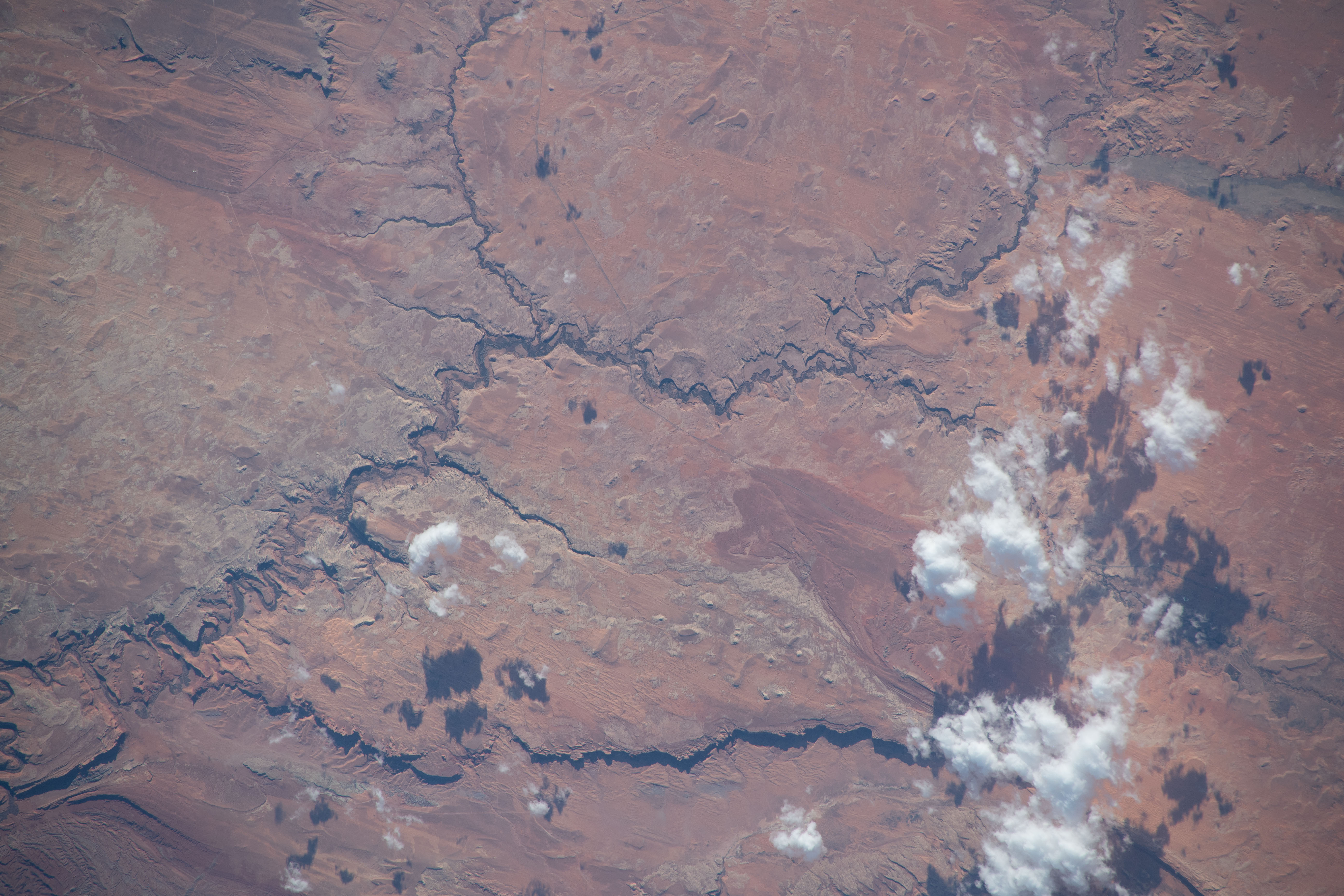 Chinle Creek flows from Utah and splits into Walker Creek in Arizona northeast of Monument Vallery in Navajo Nation. The International Space Station was orbiting 264 miles above the southwestern United States in this photograph from Expedition 70 Flight Engineer Jasmin Moghbeli of NASA.