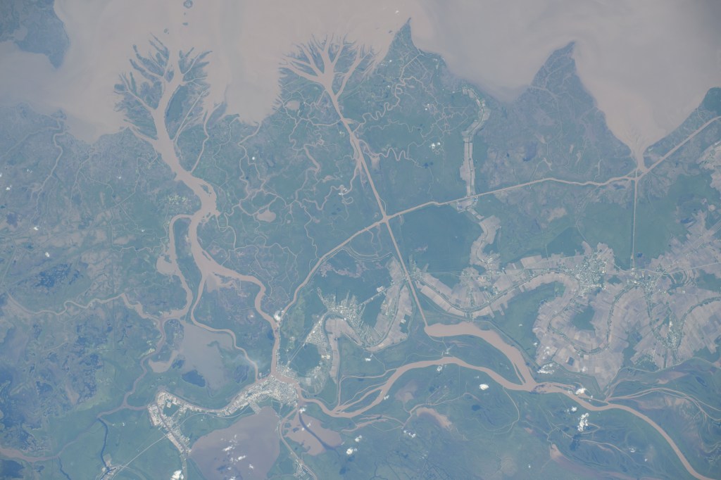 The Atchafalaya Delta Wildlife Management Area and Game Preserve on Louisiana's central Gulf Coast including the cities of Morgan City, Calumet, and more are pictured from the International Space Station as it orbited 260 miles above.