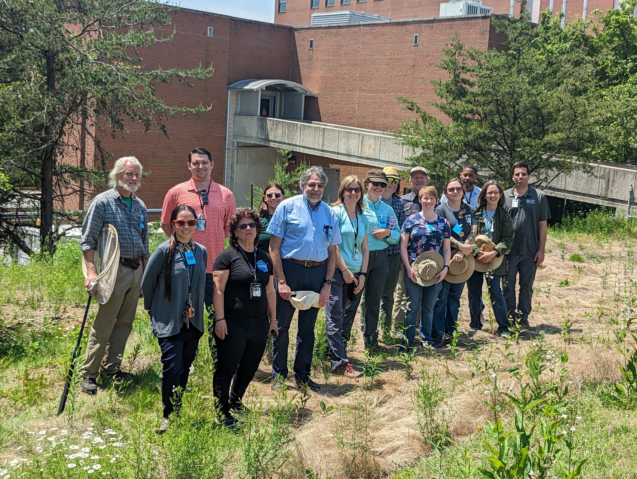 Attendees stand in a meadow during Meadow Day.