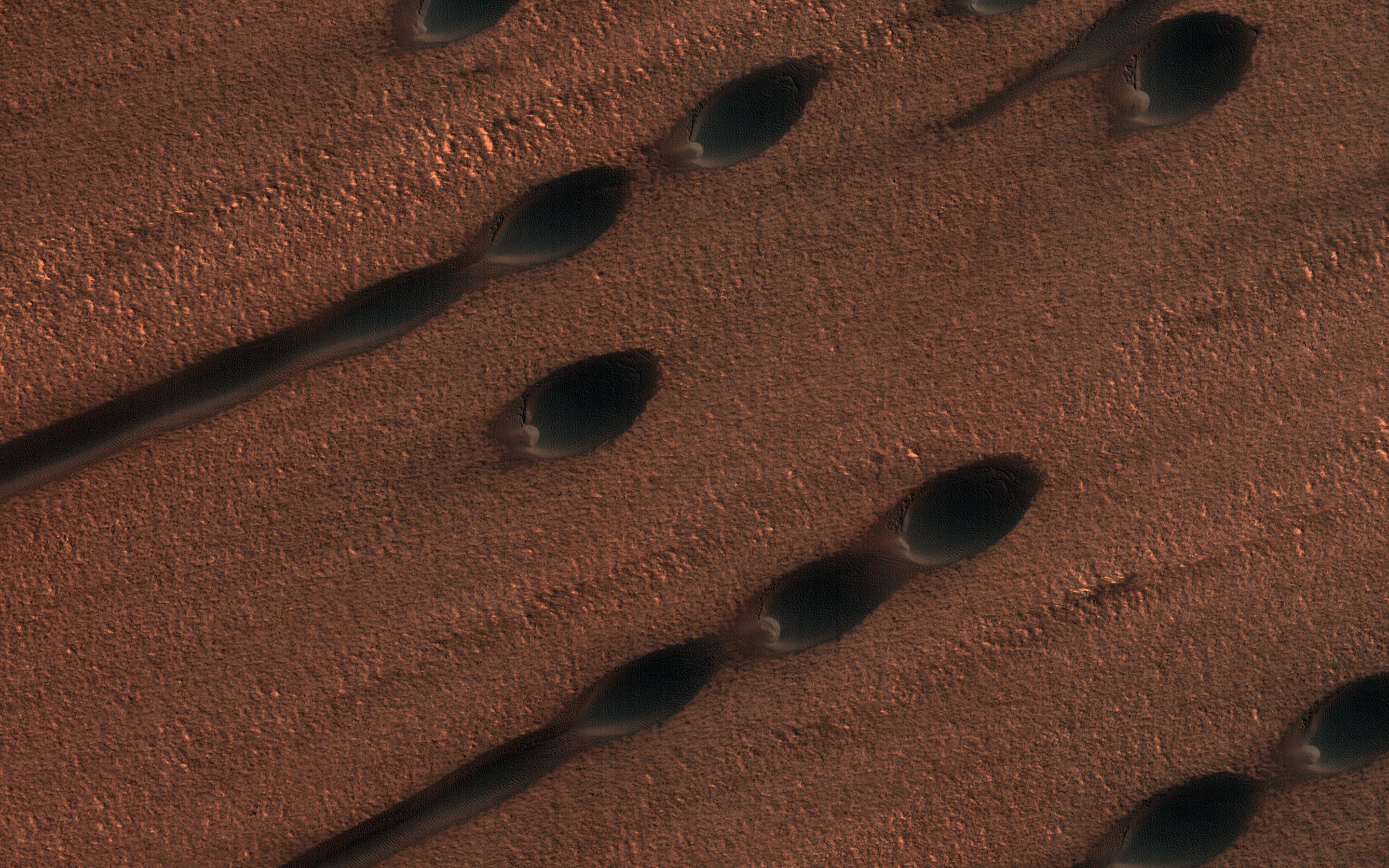 An aerial view of the reddish-brown surface of Mars taken by the Mars Reconnaissance Orbiter. Barchan dunes (circular dunes) appear here like oval divots in the ground. Linear dunes also appear.