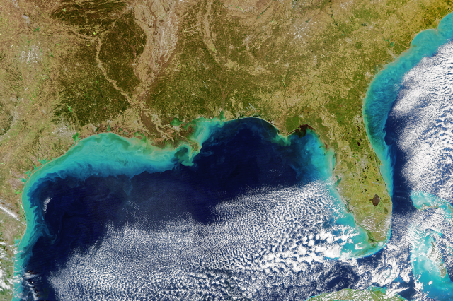 A satellite image from December 2023 showing a large, sediment-rich plume from the Mississippi River spreading down the Gulf Coast of Louisiana and Texas following winter rains.
