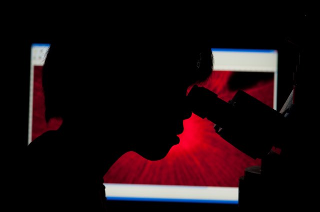 A scientist examines a sample through a microscope while backlit by a red and white image on the screen behind her.