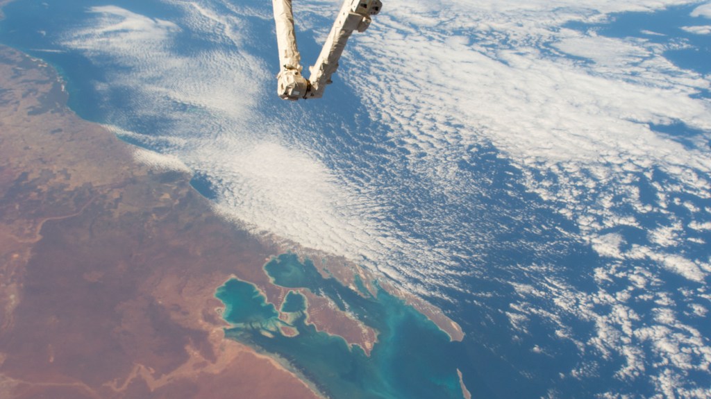 iss058e002638 (Jan. 14, 2019) --- Australia's Shark Bay, the Indian Ocean and the elbow of the Canadarm2 robotic arm are pictured as the International Space Station orbited nearly 256 miles above the state of Western Australia.