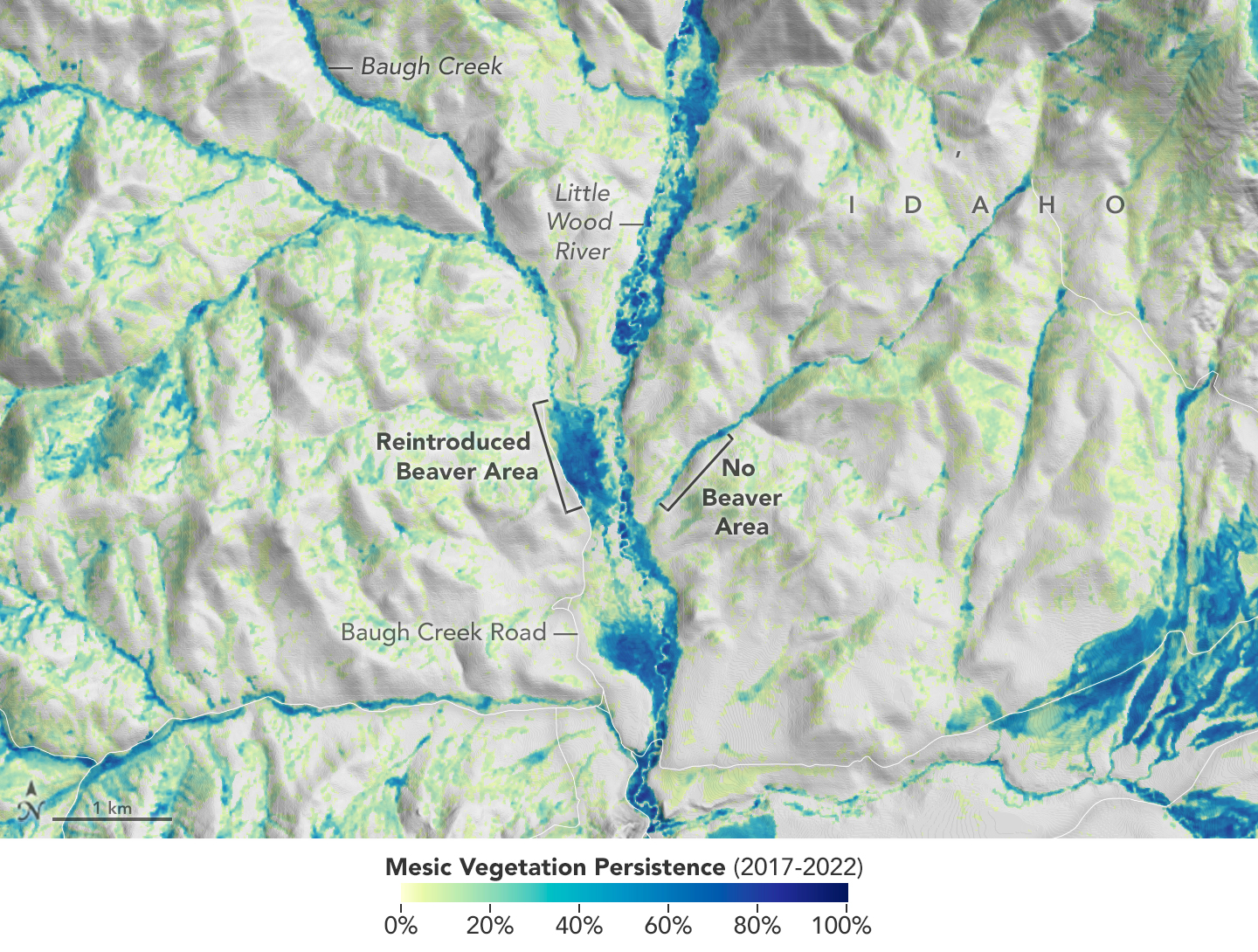 A satellite image showcasing vegetation persistence around Baugh Creek, Idaho,