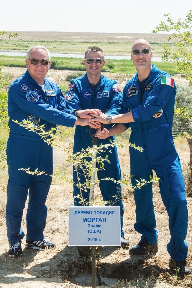 jsc2019e039273 (July 12, 2019) --- At the Cosmonaut Hotel crew quarters in Baikonur, Kazakhstan, Expedition 60 crewmembers Alexander Skvortsov of Roscosmos (left), Drew Morgan of NASA (center) and Luca Parmitano of the European Space Agency (right) pose for pictures July 12 by a tree planted in Morgan’s name as part of pre-launch activities. They will launch July 20 on the Soyuz MS-13 spacecraft from the Baikonur Cosmodrome in Kazakhstan on a mission to the International Space Station. Credit: Andrey Shelepin/GCTC