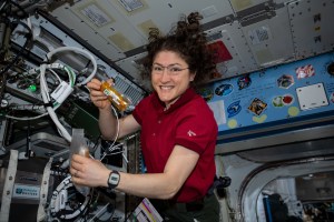 iss060e035164 (Aug. 12, 2019) --- Expedition 60 Flight Engineer Christina Koch of NASA conducts research operations for a protein crystal growth experiment. The research is investigating the production of antibody therapies with a longer shelf-life to benefit humans on Earth and in space.