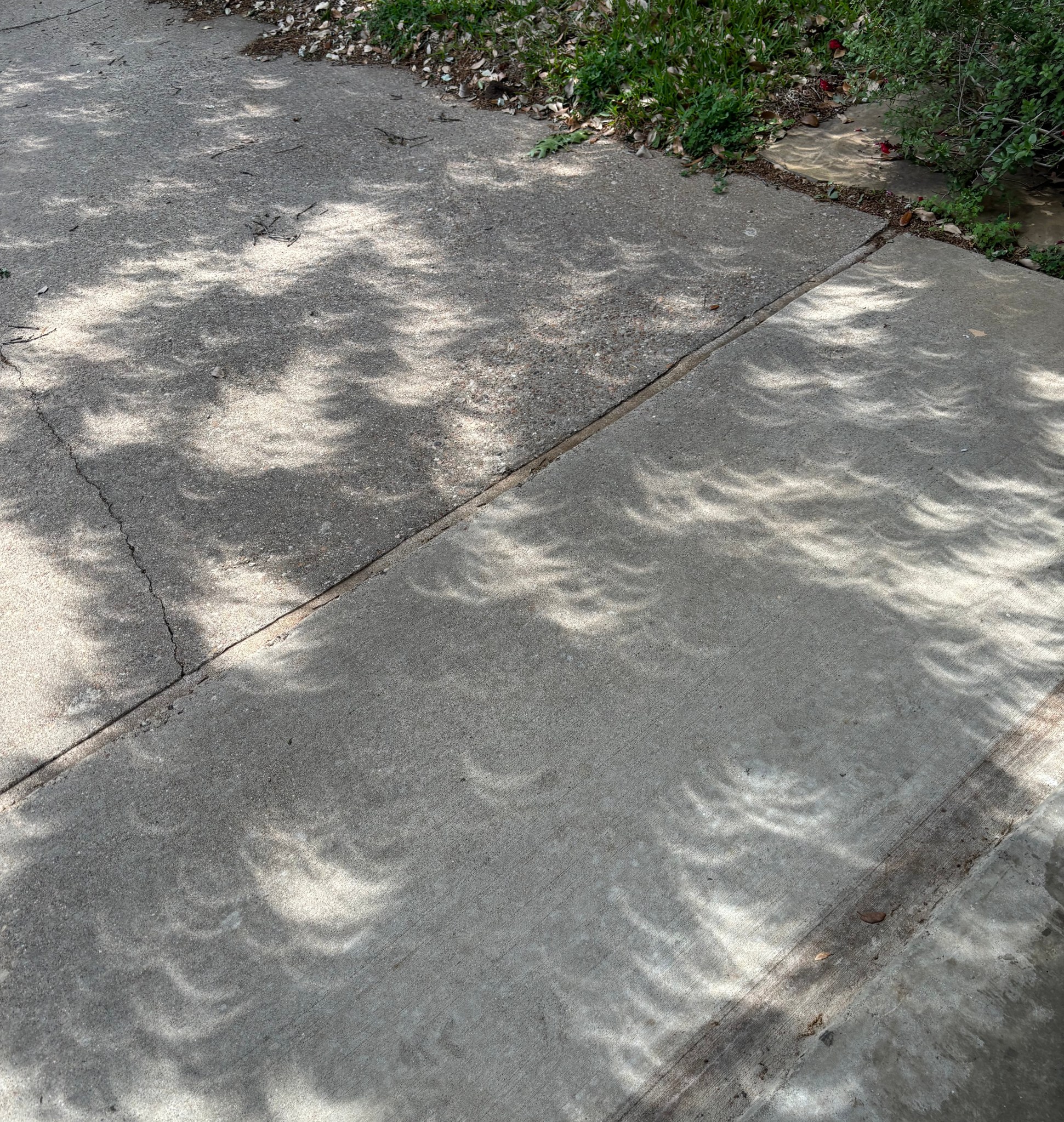 This is a photo of a sidewalk during an eclipse. As the Moon begins to eclipse the Sun, you can observe a pinhole camera effect