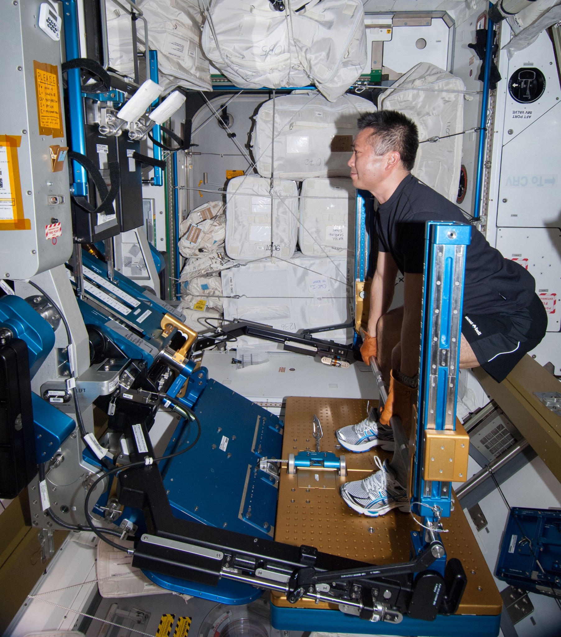 View of Koichi Wakata, Expedition 38 flight engineer, exercising on the Advanced Resistive Exercise Device, in Node 3 on the International Space Station on Nov. 15, 2013.