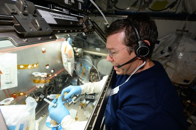 Expedition 71 Flight Engineer and NASA astronaut Mike Barratt processes brain organoid samples inside the Life Science Glovebox for a neurodegenerative disorder study. Doctors will use the results from the investigation to learn how protect a crew member’s central nervous system and provide treatments for neurodegenerative conditions on Earth.