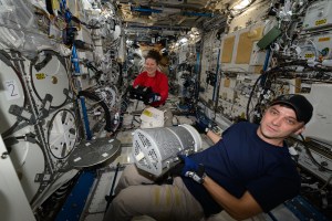 iss071e040122 (April 23, 2024) --- Expedition 71 Flight Engineers Tracy C. Dyson and Matthew Dominick, both NASA astronauts, collect research samples preserved inside science freezers aboard the International Space Station. The duo then transferred the samples and packed them inside the SpaceX Dragon cargo spacecraft for return to Earth and analysis in laboratories.