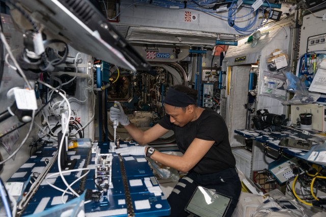 NASA astronaut and Expedition 71 Flight Engineer Jeanette Epps extracts DNA samples from bacteria colonies for genomic analysis aboard the International Space Station's Harmony module. The research work may help researchers understand how bacteria adapts to weightlessness and develop ways to protect space crews and humans on Earth.