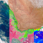 NASA’s PACE satellite’s Ocean Color Instrument (OCI) detects light across a hyperspectral range, which gives scientists new information to differentiate communities of phytoplankton – a unique ability of NASA’s newest Earth-observing satellite. This first image released from OCI identifies two different communities of these microscopic marine organisms in the ocean off the coast of South Africa on Feb. 28, 2024. The central panel of this image shows Synechococcus in pink and picoeukaryotes in green. The left panel of this image shows a natural color view of the ocean, and the right panel displays the concentration of chlorophyll-a, a photosynthetic pigment used to identify the presence of phytoplankton.