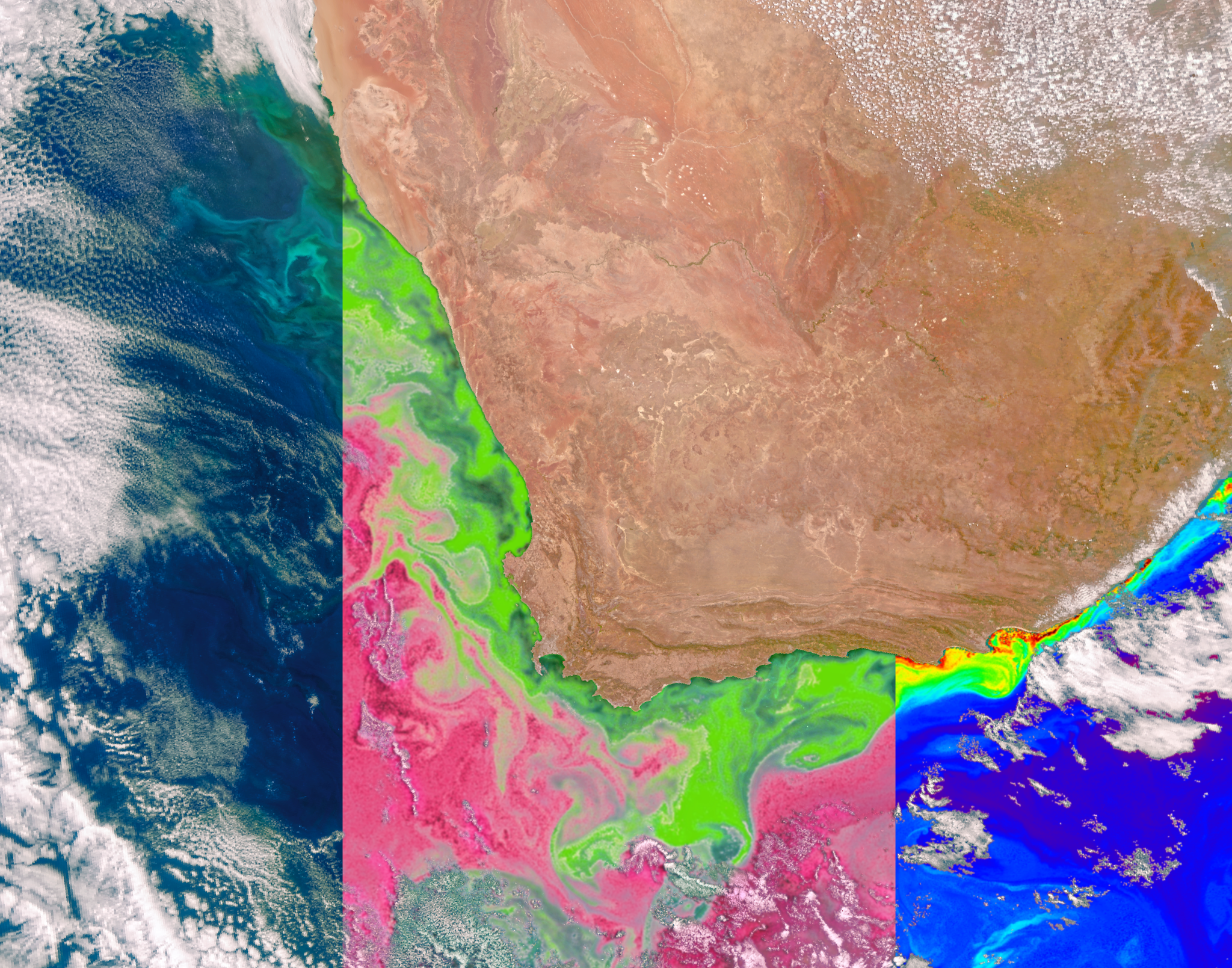 NASA’s PACE satellite’s Ocean Color Instrument (OCI) detects light across a hyperspectral range, which gives scientists new information to differentiate communities of phytoplankton – a unique ability of NASA’s newest Earth-observing satellite. This first image released from OCI identifies two different communities of these microscopic marine organisms in the ocean off the coast of South Africa on Feb. 28, 2024. The central panel of this image shows Synechococcus in pink and picoeukaryotes in green. The left panel of this image shows a natural color view of the ocean, and the right panel displays the concentration of chlorophyll-a, a photosynthetic pigment used to identify the presence of phytoplankton.