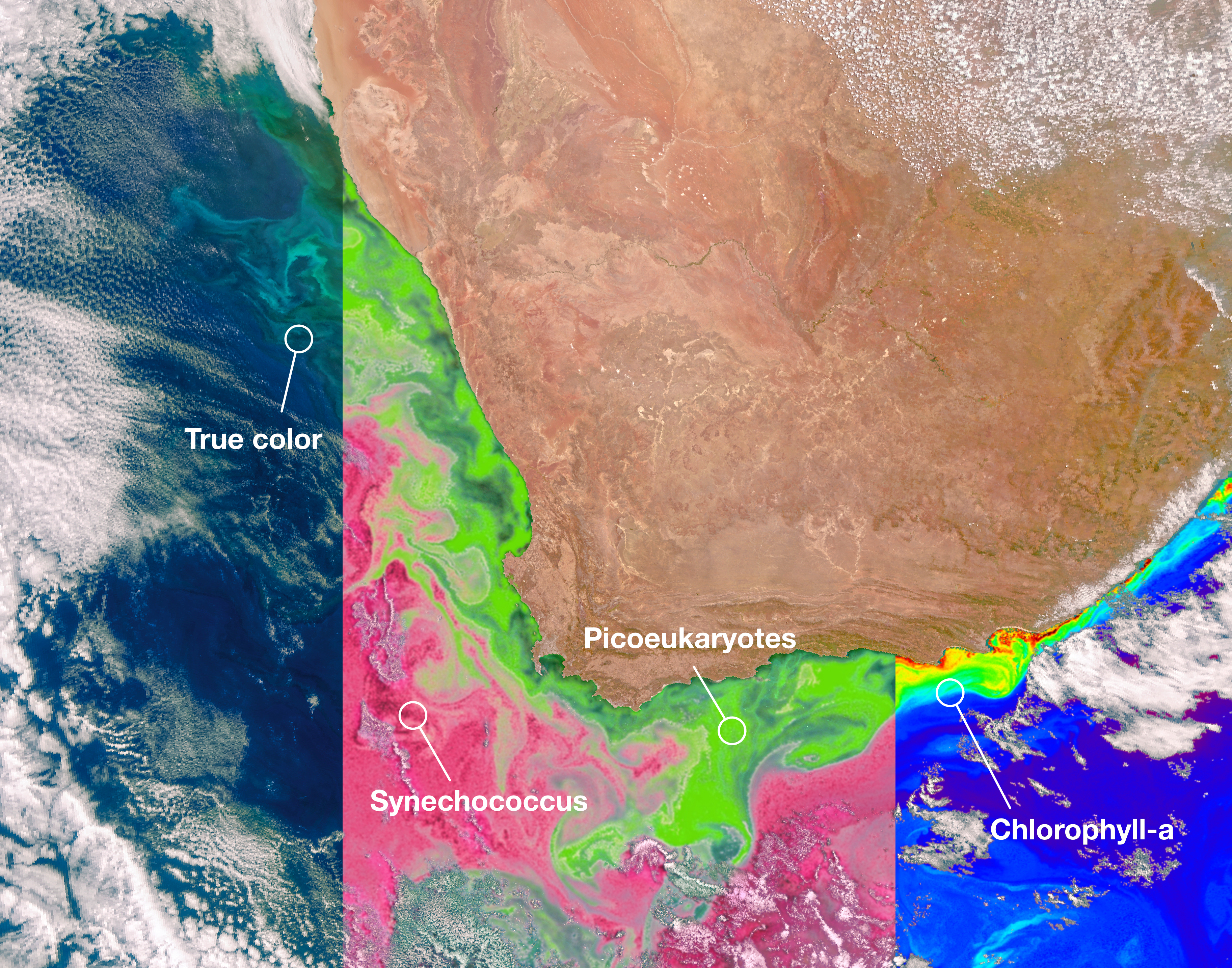 NASA’s PACE Data on Ocean, Atmosphere, Climate Now Available thumbnail
