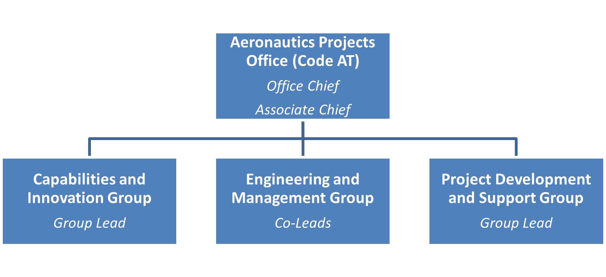Organizational chart for the Aeronautics Projects Office displaying the structure of management and capabilities, engineering, and project development groups.