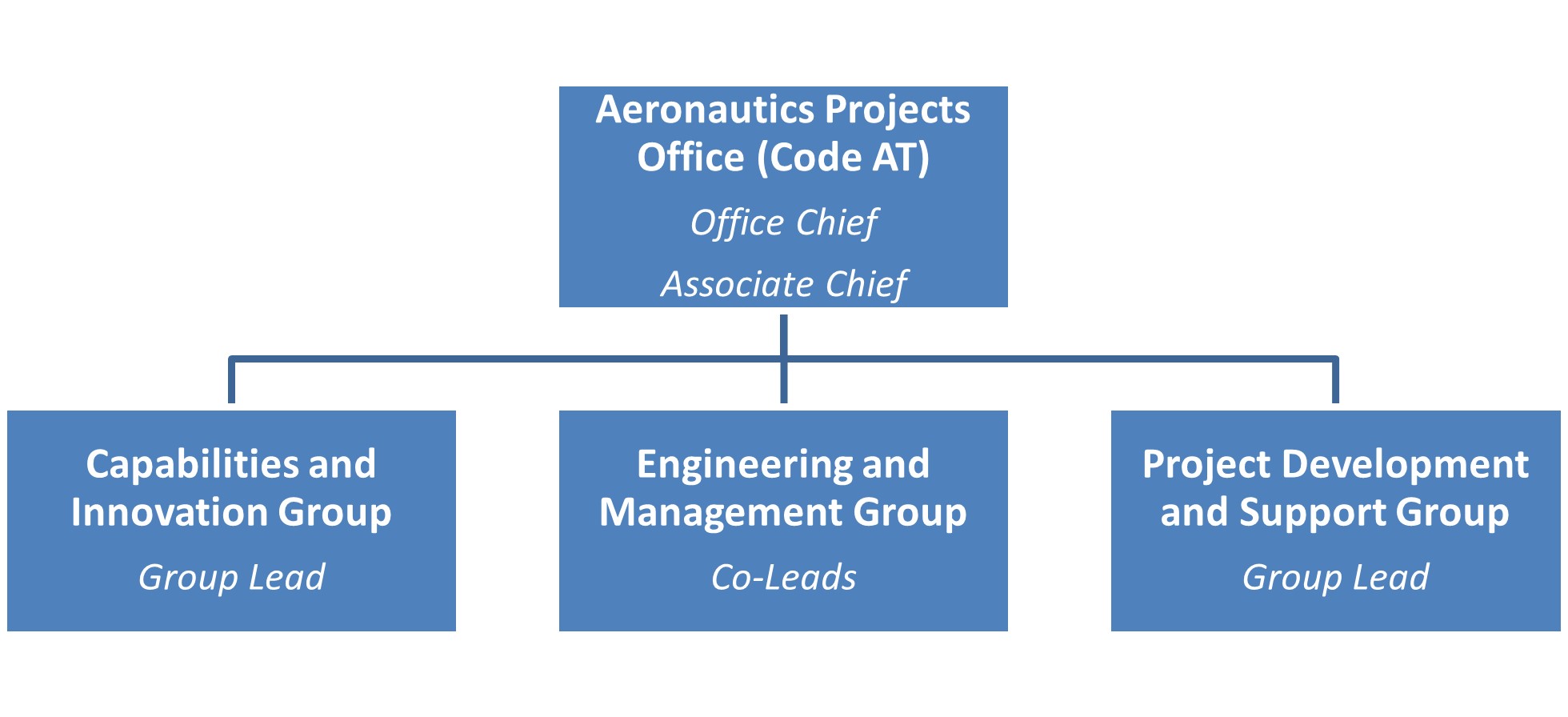 Organizational chart for the Aeronautics Projects Office displaying the structure of management and capabilities, engineering, and project development groups.
