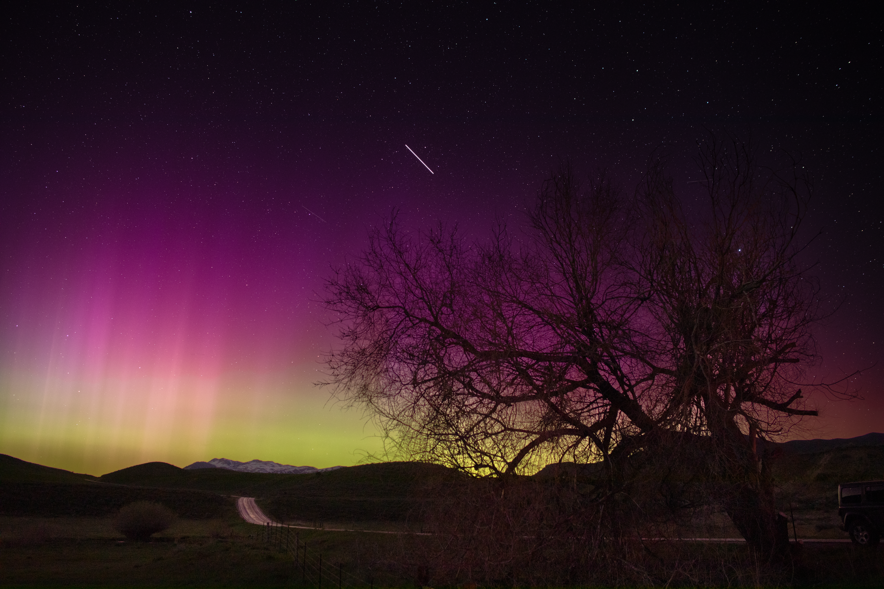 A tree (bottom right) and its branches are silhouetted against the dramatic night sky, which is red, purple, and green. Streaks of light shimmer, making the aurora look like the folds in a curtain (middle left). A road winds toward the mountainous horizon (bottom middle), and the back of a car appears (bottom right). There is a white streak in the sky (middle top). This is likely the International Space Station, which passed over the area at the time the image was taken.