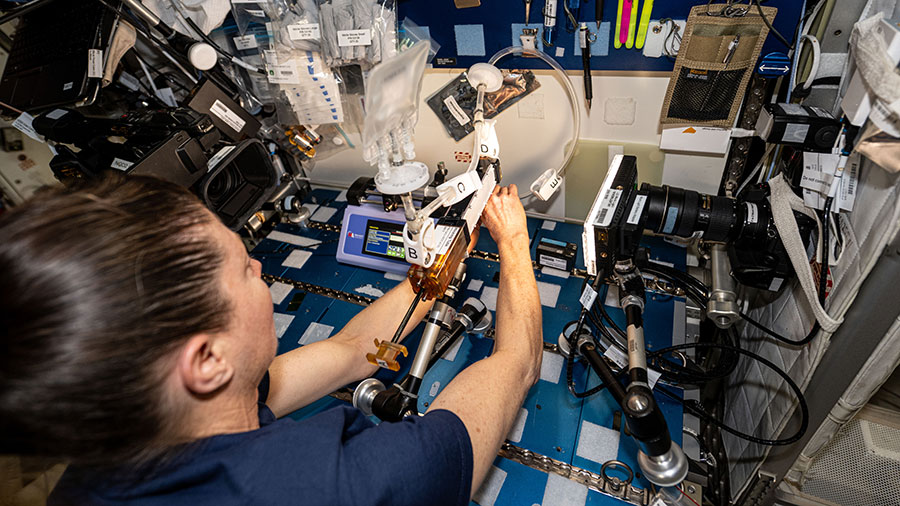 Astronaut Tracy C. Dyson works on the Gaucho Lung investigation studying ways to improve the delivery of respiratory system drugs.