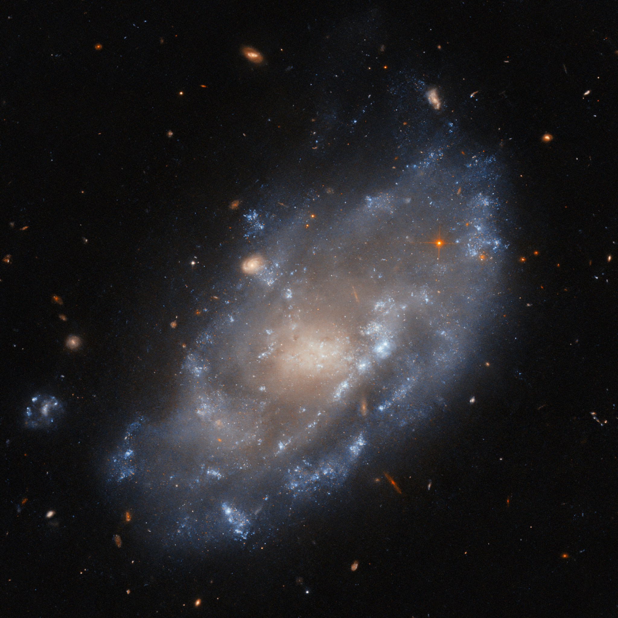 This NASA/ESA Hubble Space Telescope image features the dwarf galaxy IC 776.