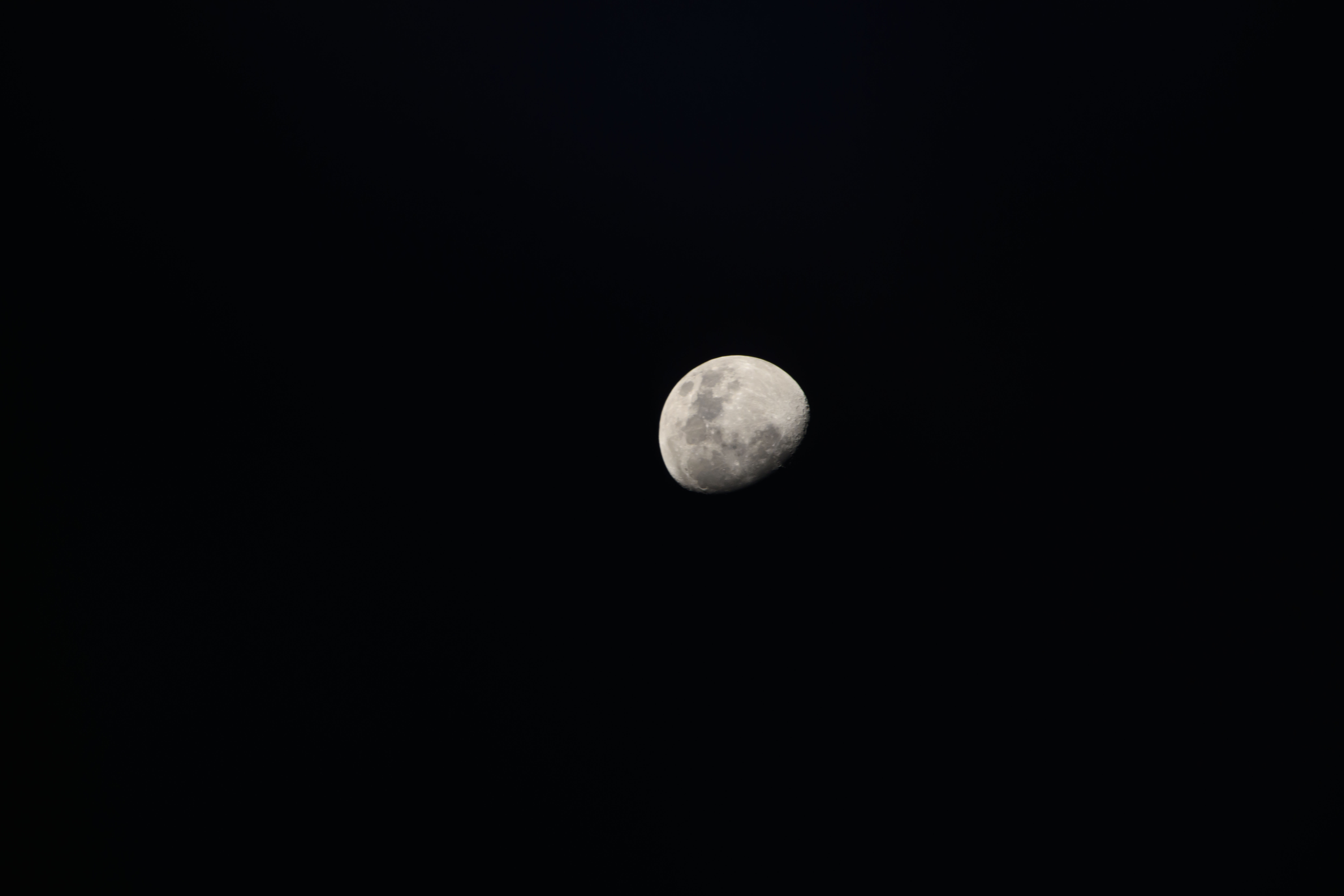 iss071e092177 (May 19, 2024) -- An illuminated waxing gibbous moon is pictured from the International Space Station as it soared 258 miles above the Indian Ocean.