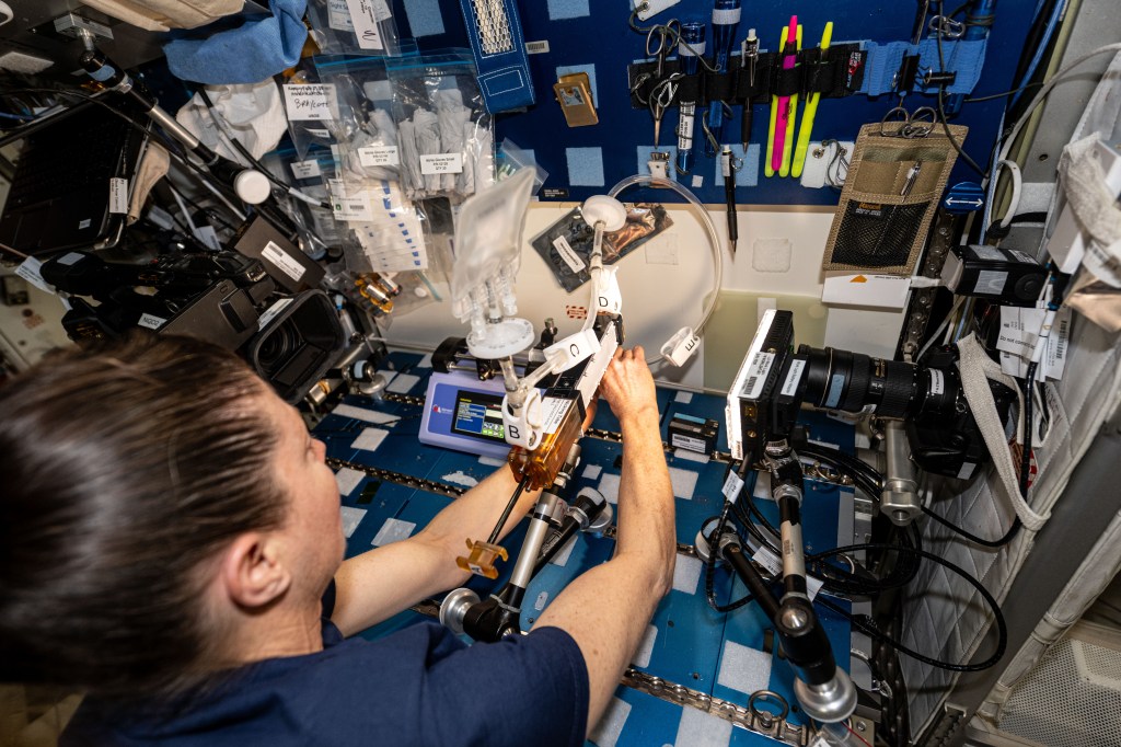 Dyson faces away from the camera at a worktable, using both hands to hold a device attached to an adjustable arm on the table. The device has a clear orange box about the size of a bar of soap, with a plunger on one end and a tube on top of it with a plastic bag at the end. A clear hose coming out of the tube has several clamps on it. Dyson is connecting the other end of the hose to another part of the device.