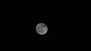 iss071e113312 (May 25, 2024) -- A waning gibbous moon illuminates against the black of space as the International Space Station orbited 256 miles above the Atlantic Ocean.