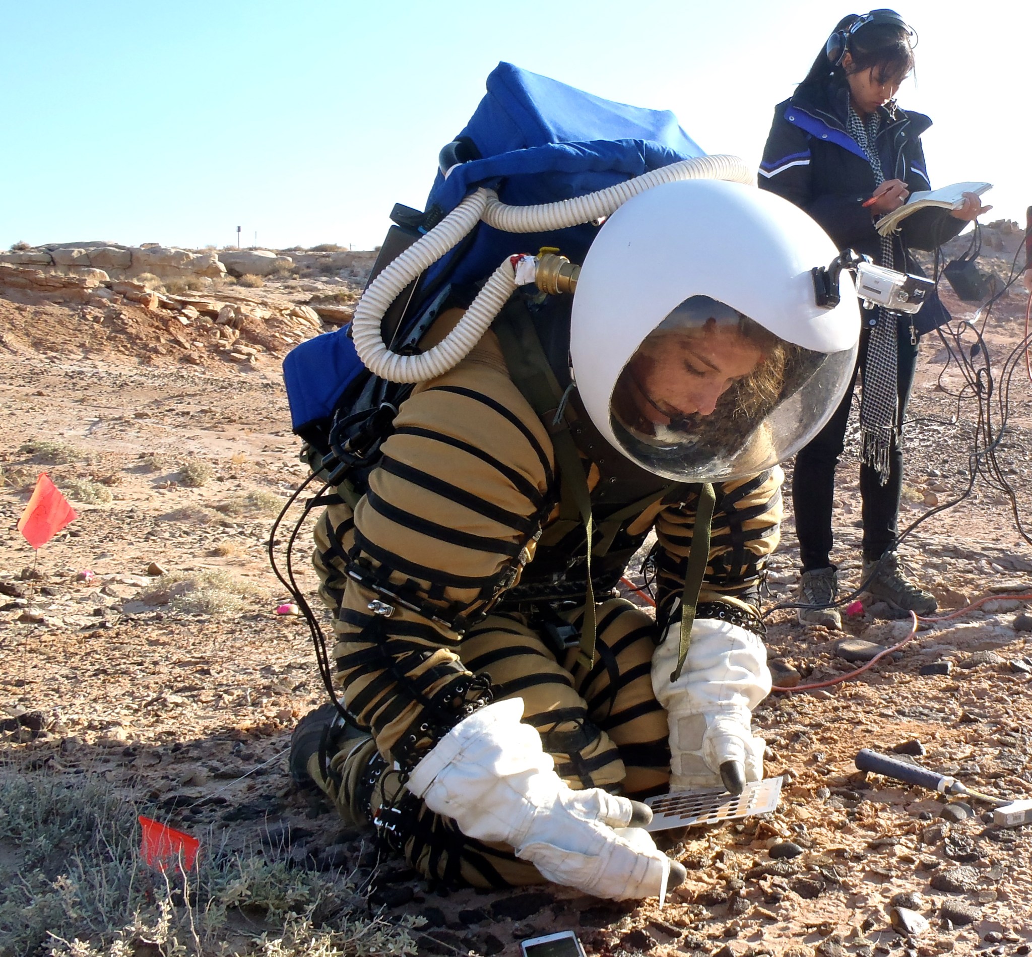 Dr. Mary Beth Wilhelm conducts research in the field.