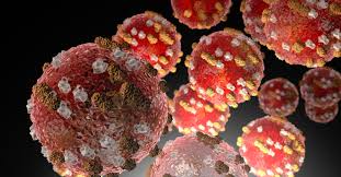 Measles under a microscope.