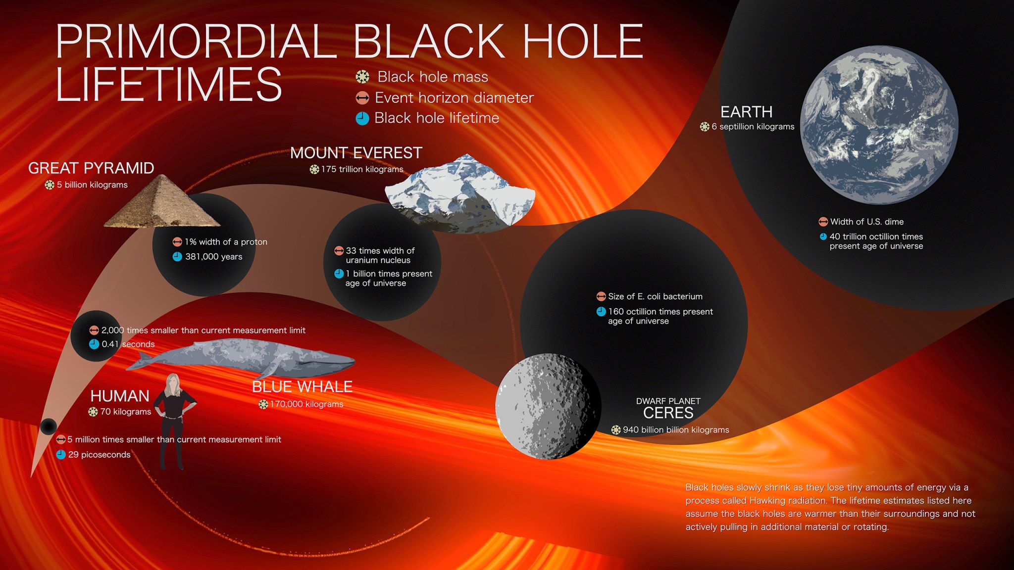 Infografica sulla vita del buco nero primordiale