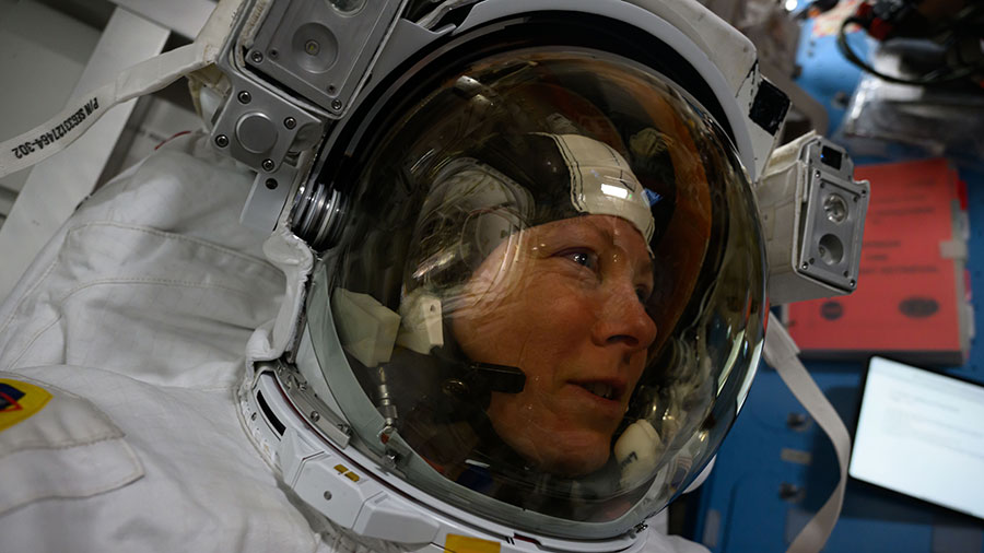 Astronaut Tracy C. Dyson is pictured in her spacesuit prior to the start of a spacewalk that ended early after her suit experienced a water leak in the service and cooling umbilical unit.