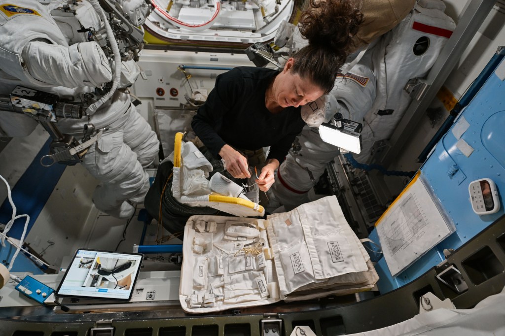 NASA astronaut and Expedition 71 Flight Engineer Tracy C. Dyson works inside the International Space Station's Quest airlock performing maintenance on a spacesuit's liquid cooling ventilation garment.