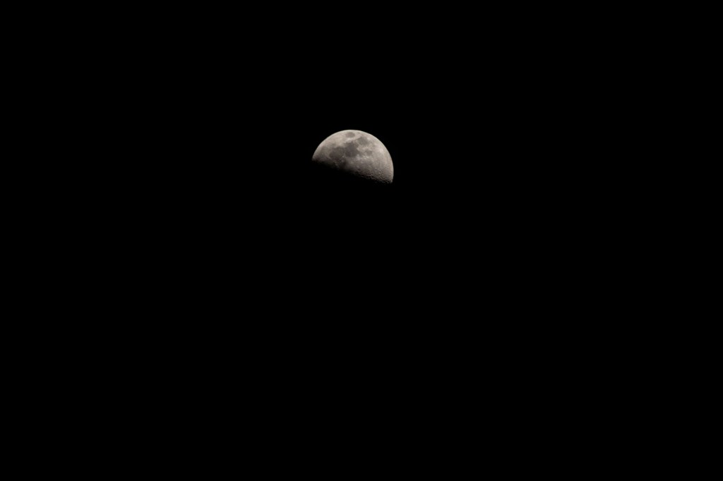 iss071e184156 (June 14, 2024) -- A waxing gibbous moon is illuminated against the black of space as the International Space Station orbited 262 miles above the Indian Ocean.