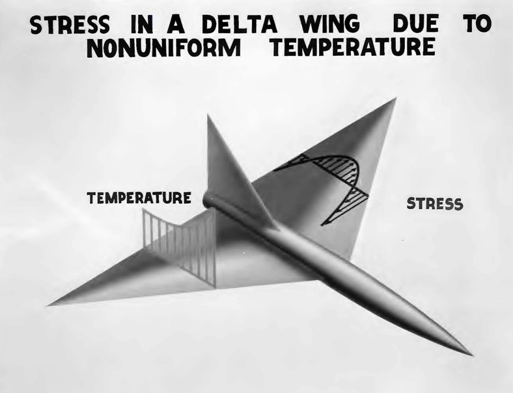 Delta wing aircraft illustration