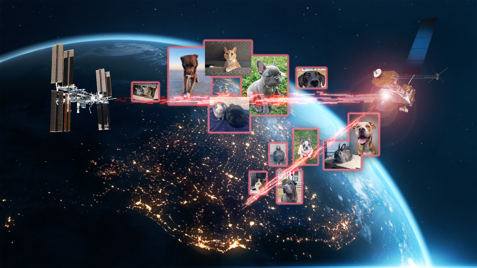 The backgrounds shows a view of Earth from space with sparkling lights across the Erath's surface. We see an image of the International Space Station sending a red laser signal to the LCRD spacecraft, which then connects down to Earth. Twelve photos of cats and dogs are placed across the red laser signal, representing the data sent through space during this demo.