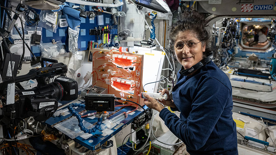 NASA astronaut Suni Williams investigates ways to overcome the lack of gravity when watering plants grown in space for the Plant Water Management investigation.