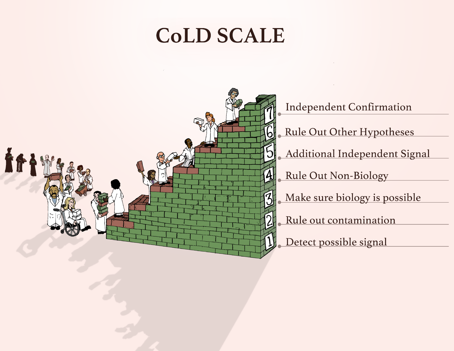 As shown in this graphic, astrobiologists catalog a seven-step scale, called the CoLD (Confidence of Life Detection) scale, to research whether a sample could indicate life. This “Cheyava Falls” sample is an example of Step One: “Detect possible signal.” Much additional research must be conducted to learn more.