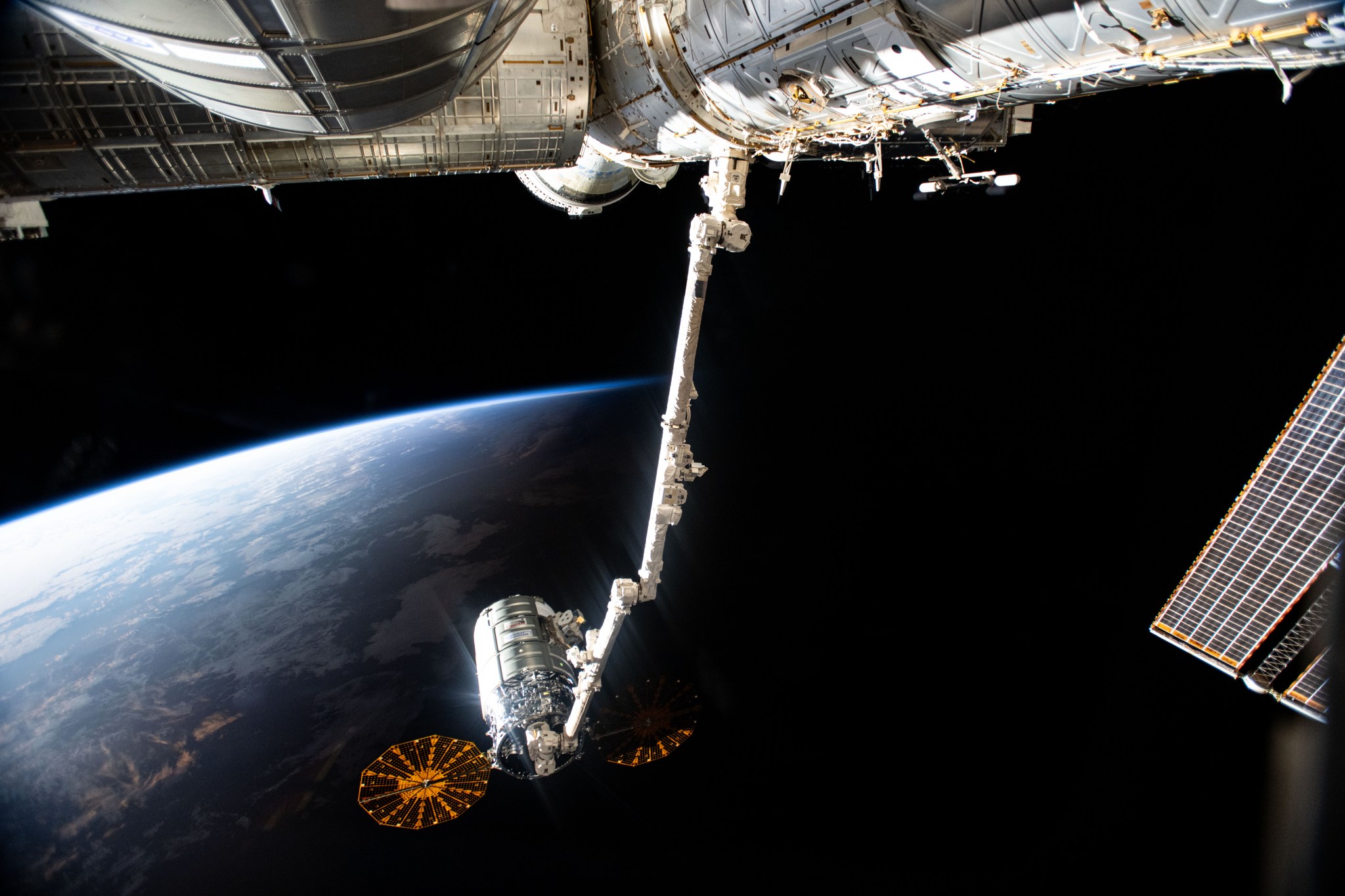 At the top of the image are the curved silver undersides of three of the space station’s modules. A long, jointed robotic arm extends down from the module on the right. Attached to its end is the silver cylindrical spacecraft with two round, gold solar panels on either side. The blue Earth is visible to the left, and sunlight glints off Cygnus.